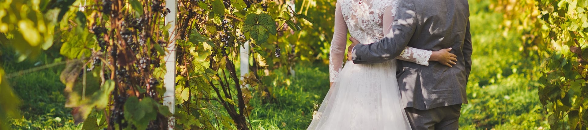 Beautiful young couple walks among the vineyards.